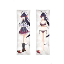 HIGHSCHOOL DxD - COUSSIN LONG - AKENO