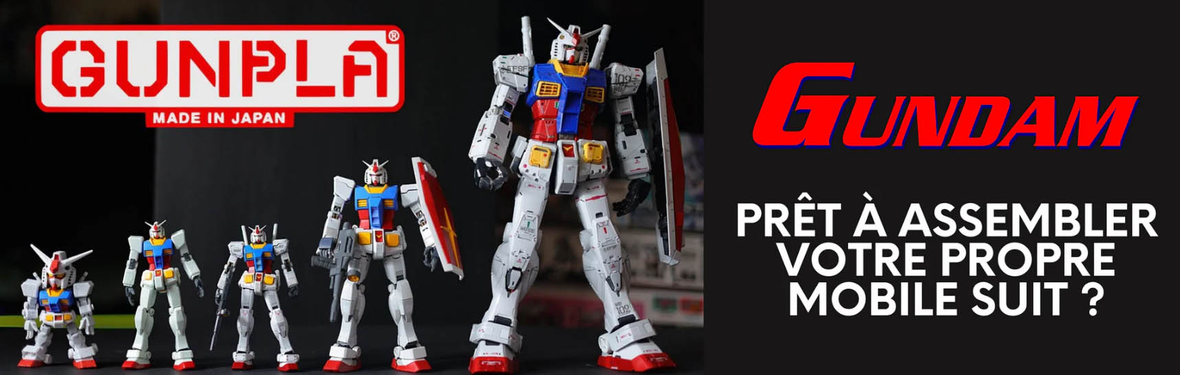 Dojodragons -Dojodragons dfgfdg